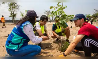 Perú busca plantar 2,5 millones de árboles solo en el primer semestre del 2026