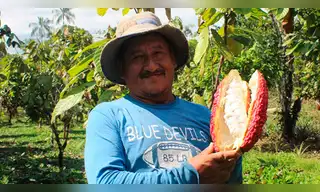 Productores de cacao se benefician con entrega de abono orgánico