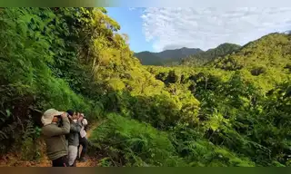 SERFOR deja sin protección la mayor parte del patrimonio natural del país bajo nueva propuesta técnica