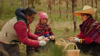 Lanzan convocatoria de emprendimientos sostenibles en zonas alto andinas