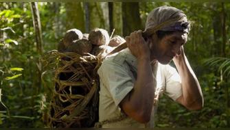 Cabify compensa más de 375.000 toneladas de CO2 a través proyectos como Madre de Dios