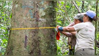 BBVA y la Fundación BBVA reciben premio de conservación Los Bóscares 2022