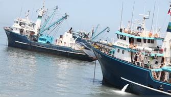 Índice de Desempeño Ambiental 2022 coloca a Perú como referente en gestión pesquera en el mundo