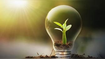 Mall Aventura recibe certificación por uso de energías de fuentes renovables