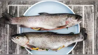 Recomendación de nutricionista: ¿Por qué es importante comer pescado?