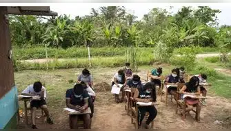 La UNESCO y la Fundación Porticus han iniciado conversaciones sobre el informe "Amazonía, educación y desarrollo sostenible".