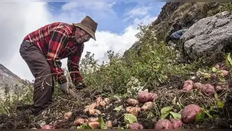 Día del Campesino: tecnificación del riego y su impacto en Áncash.