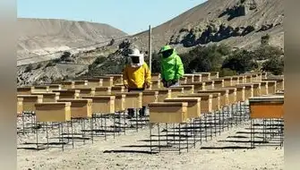 Fortalecimiento de la producción de miel de abejas en Arequipa