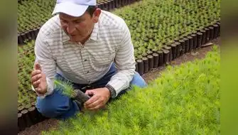 Proyecto Oxapampa busca proteger la reserva ubicada en Pasco