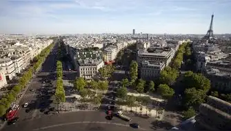 París planta árboles resistentes al cambio climático para combatir olas de calor