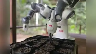 Robot ayuda sembrando semillas en Amazonas peruano para reforestar