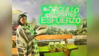 Cacao ecológico de comunidad nativa de Kirigueti del Bajo Urubamba destaca en feria internacional de Lima