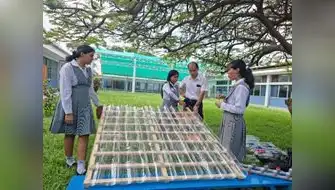 Escolares construyen techos ecológicos para población vulnerable