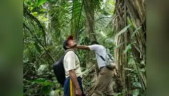 Serfor establece nuevo bosque local en San Martín