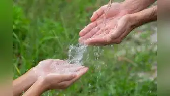 ¿Cómo cuida del medio ambiente una compañía alimenticia multinacional?
