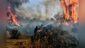 Lanzan herramienta digital para prevenir incendios forestales