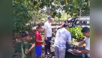 San Martín: Plantan 10,000 árboles en Parque Cordillera Azul