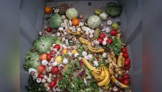 UE busca reducir desperdicio de alimentos en un 30%