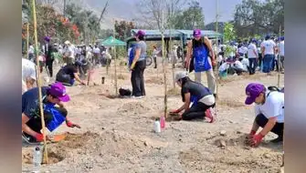 Arequipa: ciudadanos convierten botadero en pequeño bosque