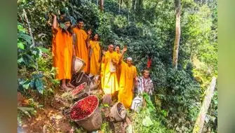 Pequeños productores recibirán tierras para reducir deforestación