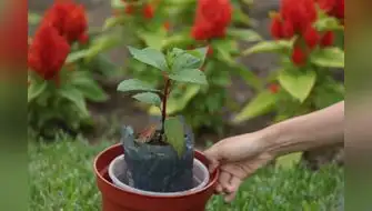 Plataforma de movilidad lanza fundación por el medio ambiente