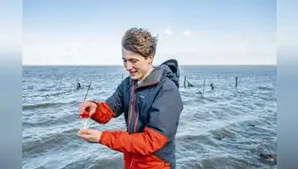 Microplásticos: Joven inventa método para eliminarlos del agua