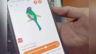 App móvil permite conocer más de 500 especies de flora y fauna