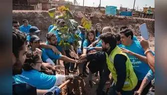 Voluntarios despliegan gran campaña de reforestación en el país
