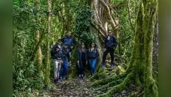 Compañía de tecnología adopta árboles nativos y promueve reforestación