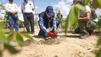 Perú ejecutará 14 proyectos de reforestación a nivel nacional