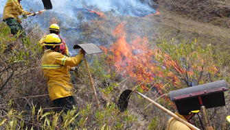 Declaran emergencia en tres regiones por incendios forestales