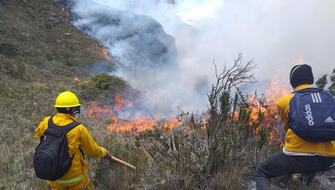 Una veintena de incendios forestales siguen activos en el Perú
