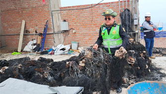 Autoridades incautan una tonelada de macroalgas extraídas ilegalmente