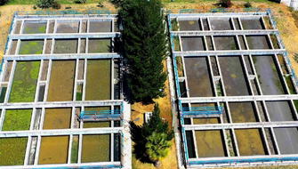 Aguas residuales producen biogás y abono orgánico en Ayacucho