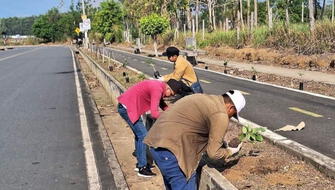 Siembran especies forestales en áreas urbanas de San Martín