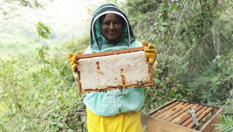 “Guardiana de las abejas” peruana gana premio Midori de Conservación