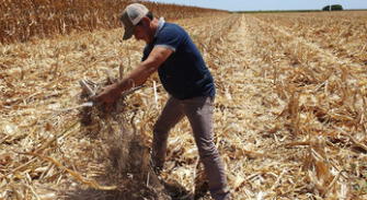 Falta de agua amenaza a una cuarta parte de los cultivos del mundo