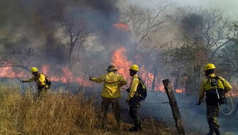 Crisis climática dispara número de incendios forestales y sus muertes
