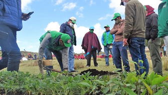 Huánuco y San Martín reforestarán suelos afectados por incendios