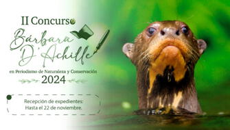 Concurso Bárbara D’Achille amplía su plazo de postulación