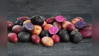 Investigadores crean bioplástico que detecta alimentos en descomposición