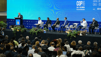Secretario general de la ONU muestra esperanzas sobre acuerdos de COP16