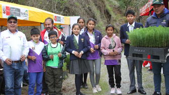 Perú inicia su Semana Forestal Nacional 2024