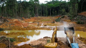 Estrategia Nacional contra Delitos Ambientales es una realidad