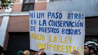 Pueblos indígenas exigen inconstitucionalidad de “Ley Antiforestal”