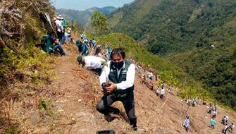 Siembran 7,000 plantones para recuperar Praderas de Sapallanga