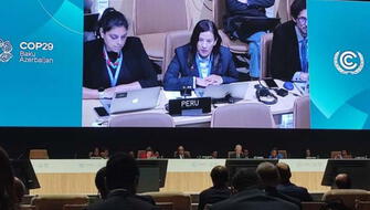 COP29: Perú sustentará medidas de mitigación ante cambio climático