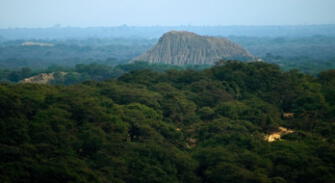 Bosque de Pómac obtiene máxima distinción para un destino turístico