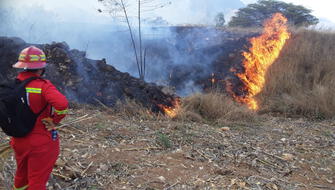 Evaluarán impacto de incendios forestales en Cajamarca