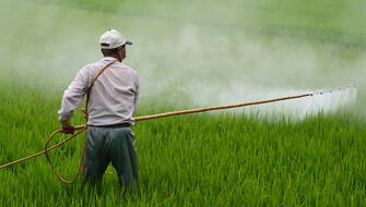 Contaminación por agrotóxicos aumenta diez veces en Brasil